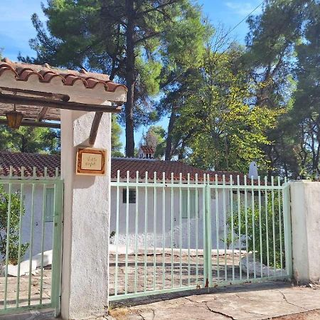 Villa Nefeli Sani  Extérieur photo