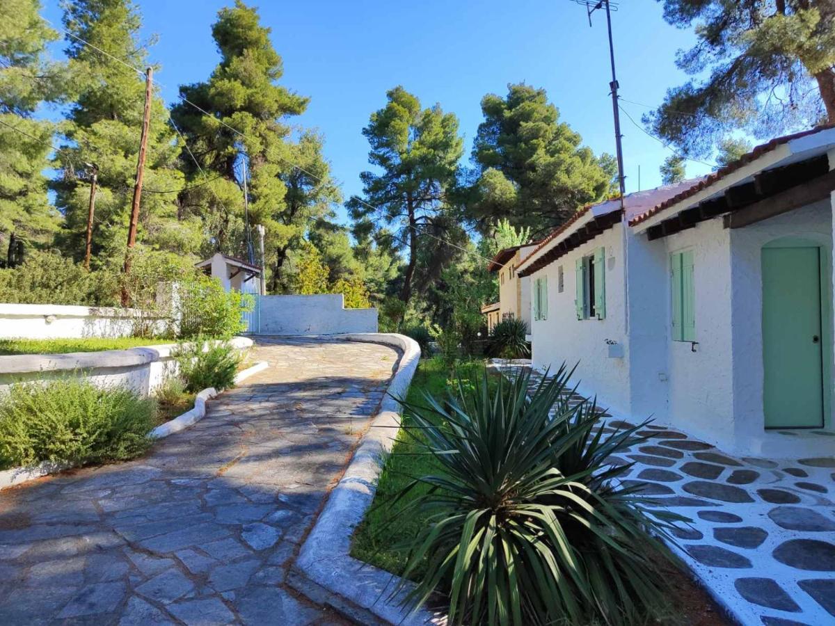 Villa Nefeli Sani  Extérieur photo
