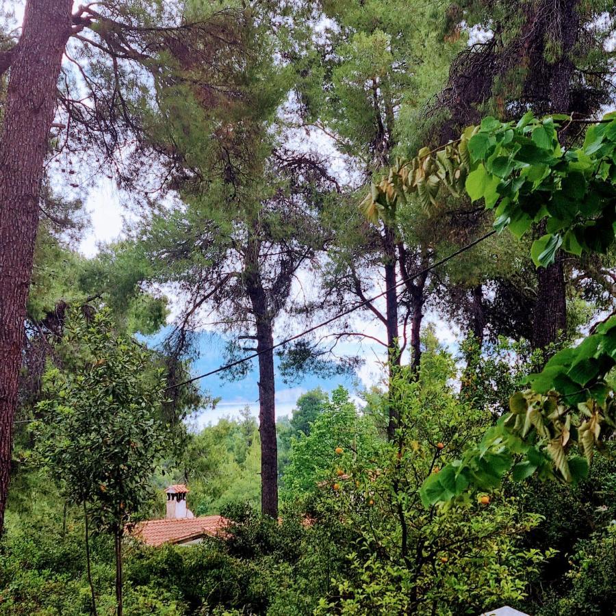 Villa Nefeli Sani  Extérieur photo