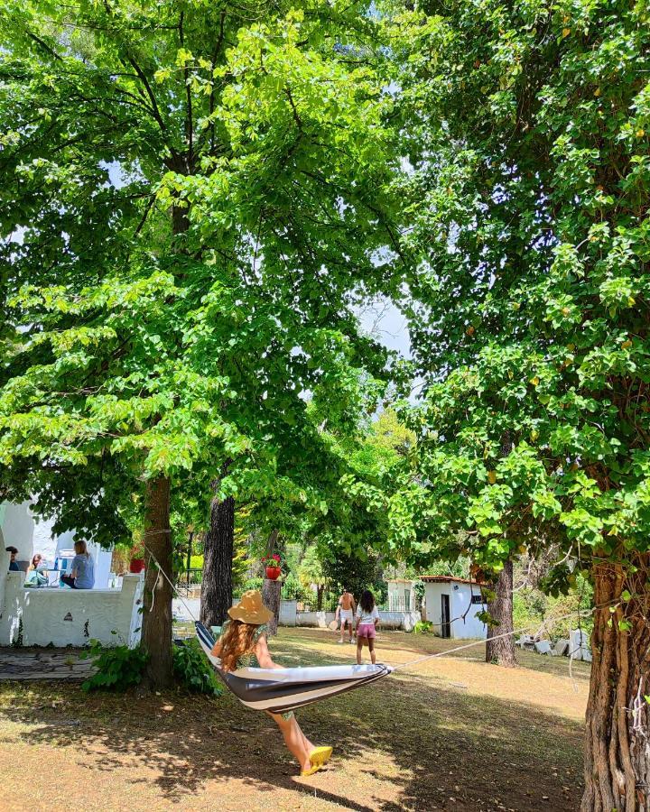 Villa Nefeli Sani  Extérieur photo